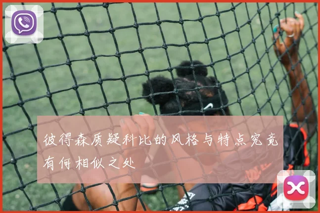 彼得森质疑科比的风格与特点究竟有何相似之处